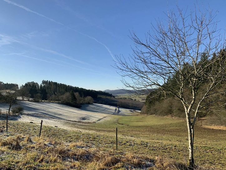 Blick hinunter ins Liesertal.