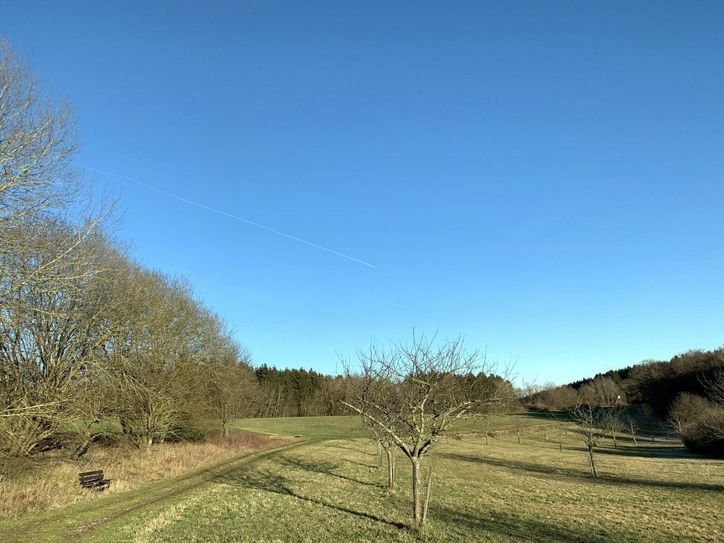 Herrliche Streuobstwiese mit Bank.