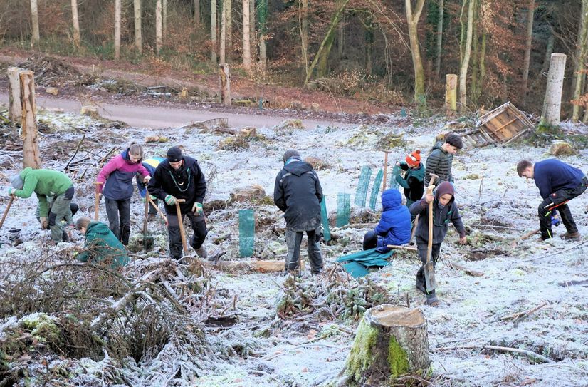 Kinder und Jugendliche der Waldjugend Trassem pflanzen neue Laubbäume für den Erhalt ihres Waldes.
