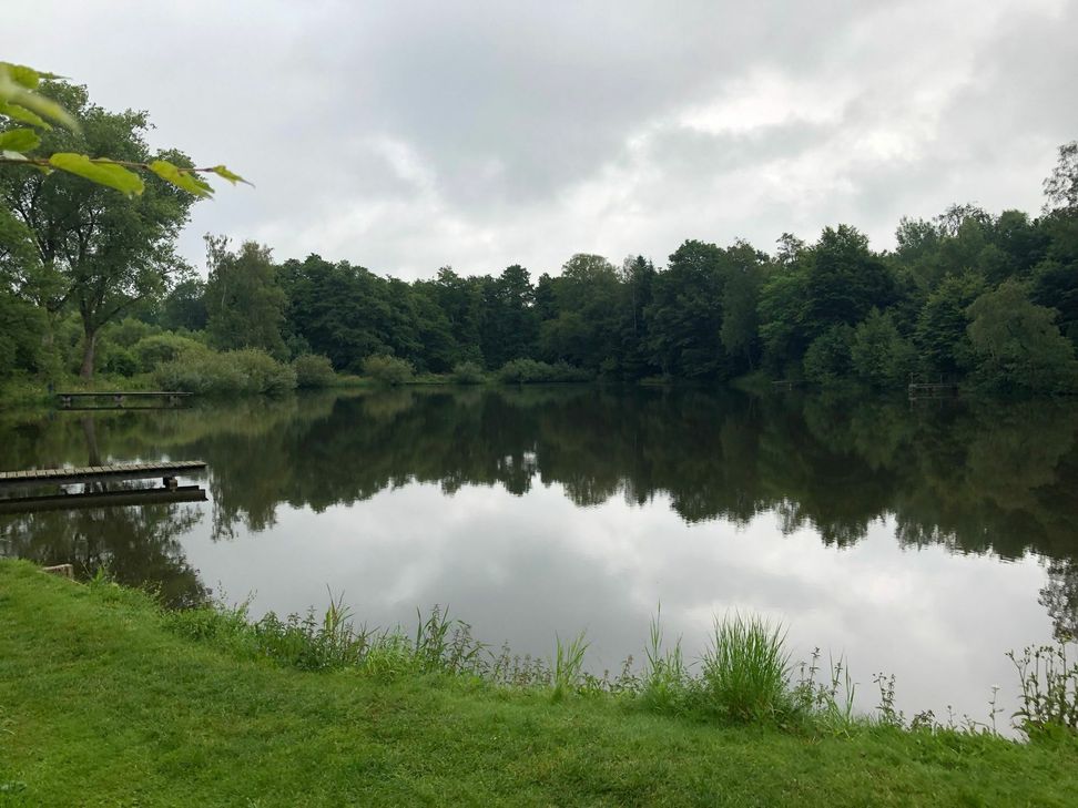 Vom Menzerather Weiher aus geht es ans »Unkraut« rupfen. Foto: T. Förster