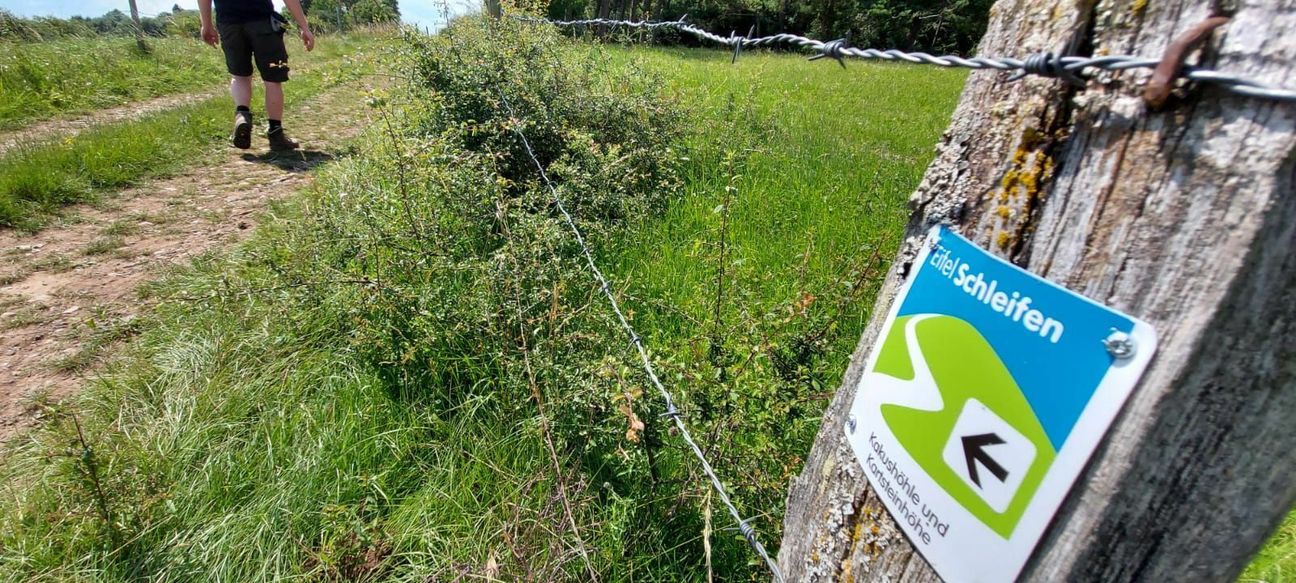 Die meisten der 112 EifelSchleifen und EifelSpuren im Kreis Euskirchen sind wanderbar. Mometan sind noch 15 Strecken gesperrt, auf acht Schleifen sind Umleitungen ausgeschildert. Eine laufend aktualisierte Übersicht findet man unter www.wanderwelt-nordeifel.de   mn-Foto