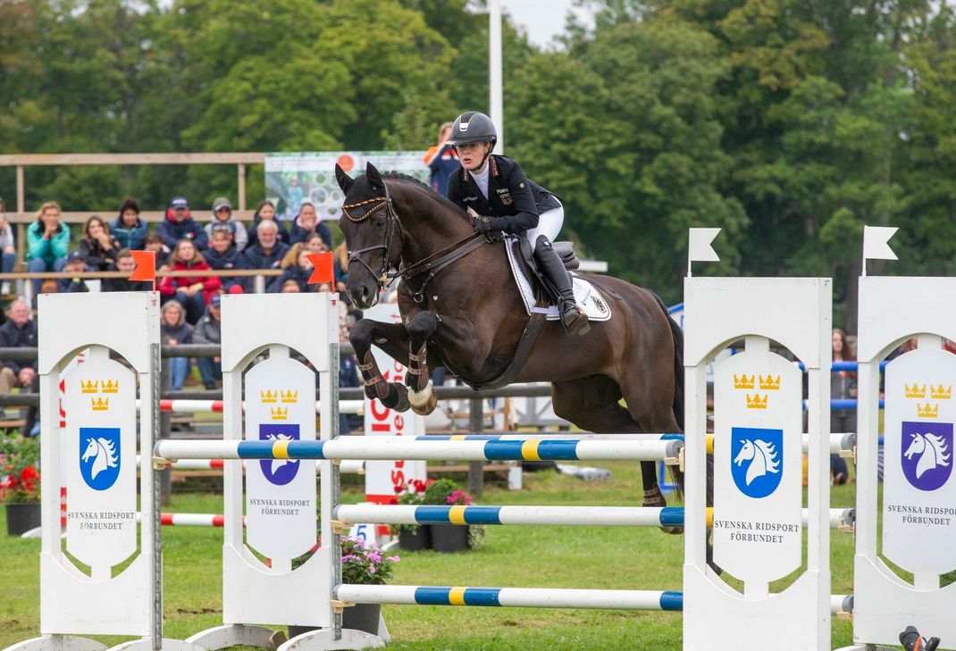 Starker Auftritt im Springparcours: Hier blieb Sophia Rössel mit "Exclusive" fehlerfrei.