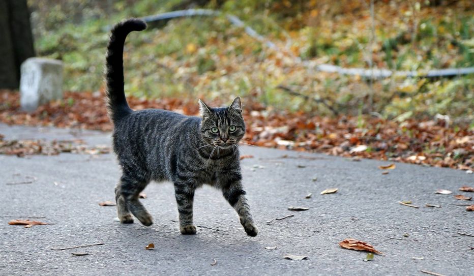 Foto: Symbolbild/Imago