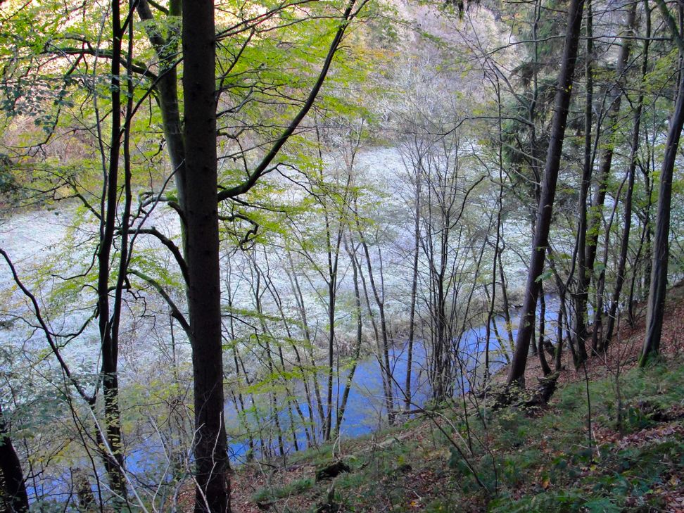 Blick auf die Lieser. Foto: NaturAktivErleben