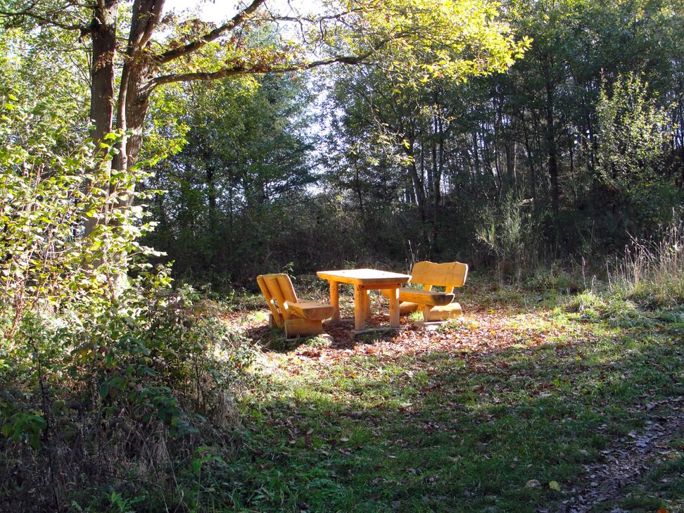 Hübscher Rastplatz beim Anstieg auf den Burgberg. Foto: NaturAktivErleben