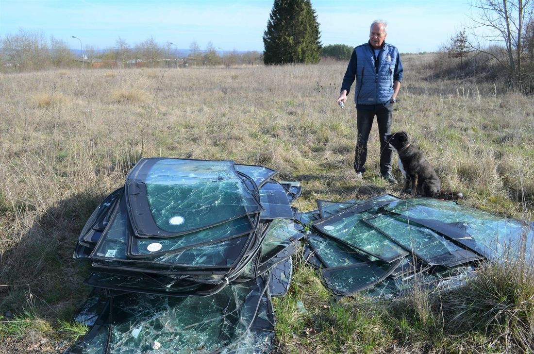Nicht nur Bauschutt und Reifen landen in der Natur. An einer Stelle auf dem Bitburger Flugplatz hat Franz-Josef Kreuz mit seiner Hündin Luci einen ganzen Stapel illegal entsorgter Autoscheiben gefunden. Fotos: S.Schröder