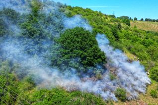 Die Feuerwehr musste sich durch das Gelände arbeiten.