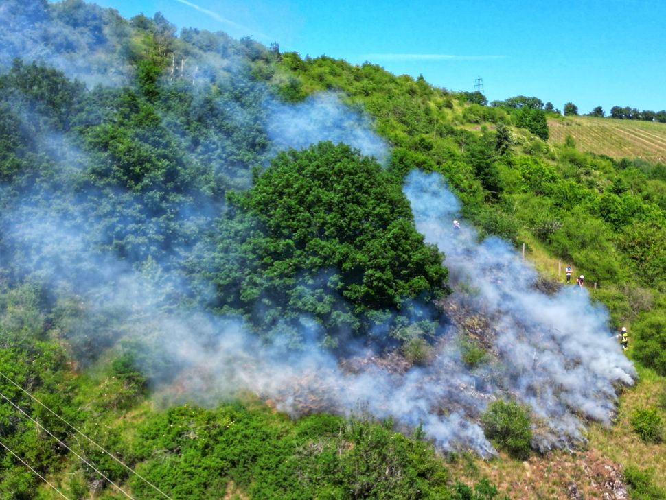 Die Feuerwehr musste sich durch das Gelände arbeiten.