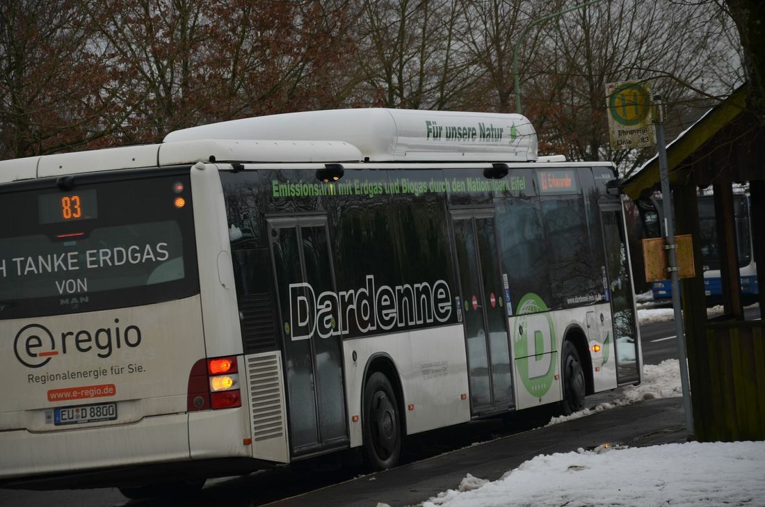 Ein Extra-Bus bringt die Grundschüler direkt Richtung Eicherscheid und Rurtal. Foto: T. Förster