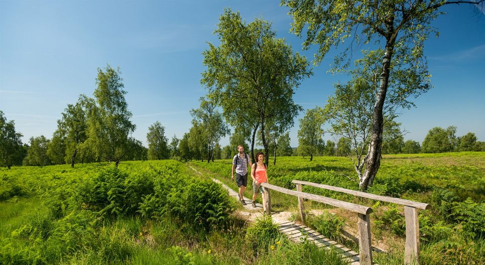 Corona hat nicht nur das Reise- und Buchungsverhalten der Gäste beeinflusst, sondern auch die Wünsche und Erwartungen an den Aufenthalt vor Ort: »Unser Naturraum macht nicht nur ein großes Stück der Lebensqualität für uns alle aus, sondern auch die Attraktivität der Region für die Gäste«, weiß Barbara Frohnhoff. saher müsse der »sanfte Tourismus« wie hier im Naturschutzgebiet Struffelt bei Rott weiter ausgebaut werden. Foto: Dominik Ketz / Eifel Tourismus GmbH