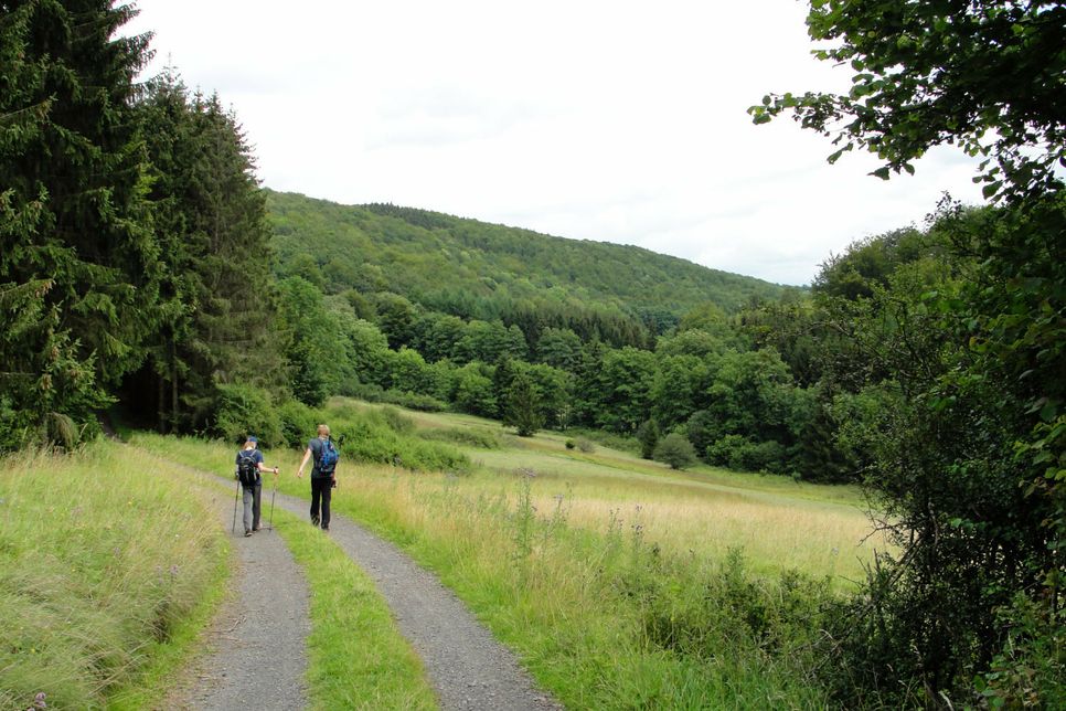 Im Naturschutzgebiet Remmelbachtal. Foto: NaturAktivErleben