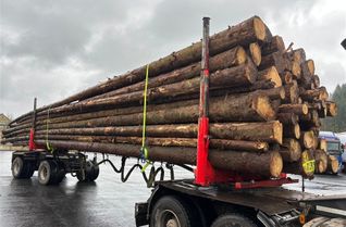 Mehr als 21 Tonnen zu schwer: Die Polizei stoppz überladenen Langholztransport mit insgesamt 61.200 Kilogramm.