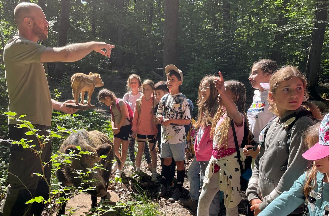 Große und kleine Tiere faszinieren bei den Waldspielen in Luxemburg.