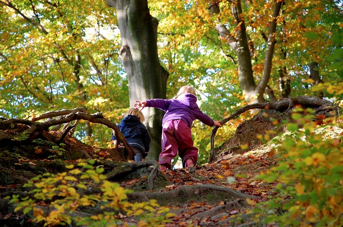 Ab Montag, 13. Januar, machen die „Naturzwerge“ in Euskirchen Wald und Wiesen unsicher. Foto: DRK/pp/Agentur ProfiPress