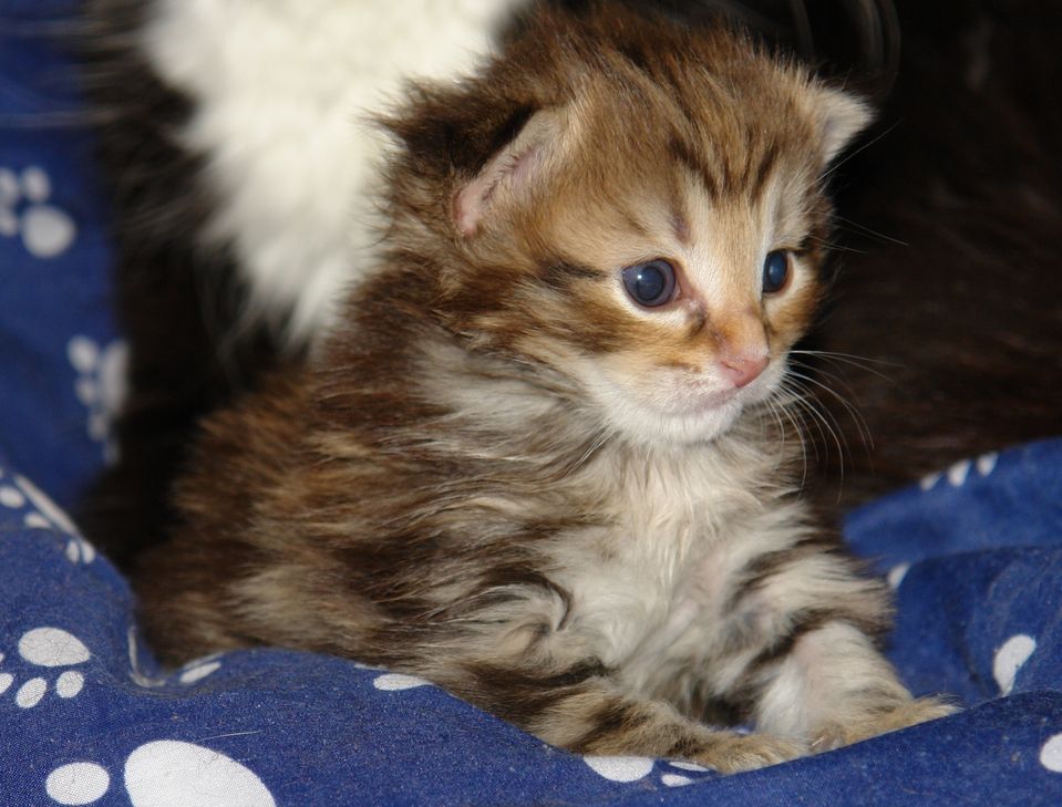 Foto: Symbolbild/Archiv