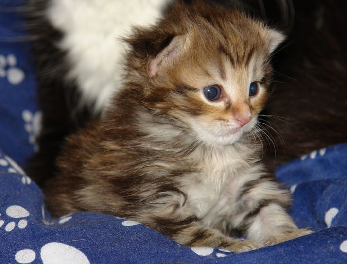 Foto: Symbolbild/Archiv