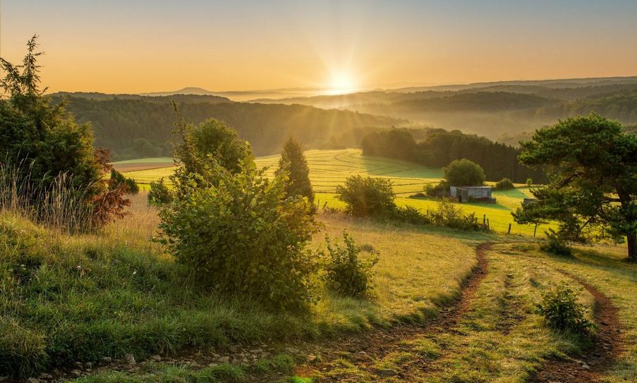 »echt.gut.wandern!« kann man auf insgesamt 95 EifelSchleifen und 18 EifelSpuren in der Nordeifel, auch in der »Toskana der Eifel«.