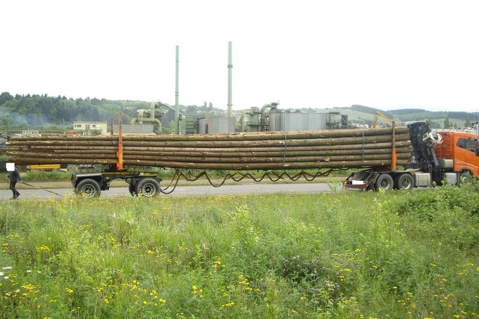 Der Holztransporter aus Luxemburg hatte 12 Tonnen zu viel geladen. Foto: Polizei