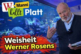Manni kallt Platt, dieses Mal über die Weisheit Werner Rosens.