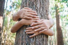 Jetzt mitmachen: Der WochenSpiegel ruft erstmals zum "Nachhaltigkeitswettbewerb Rhein-Nahe-Hunsrück" auf!