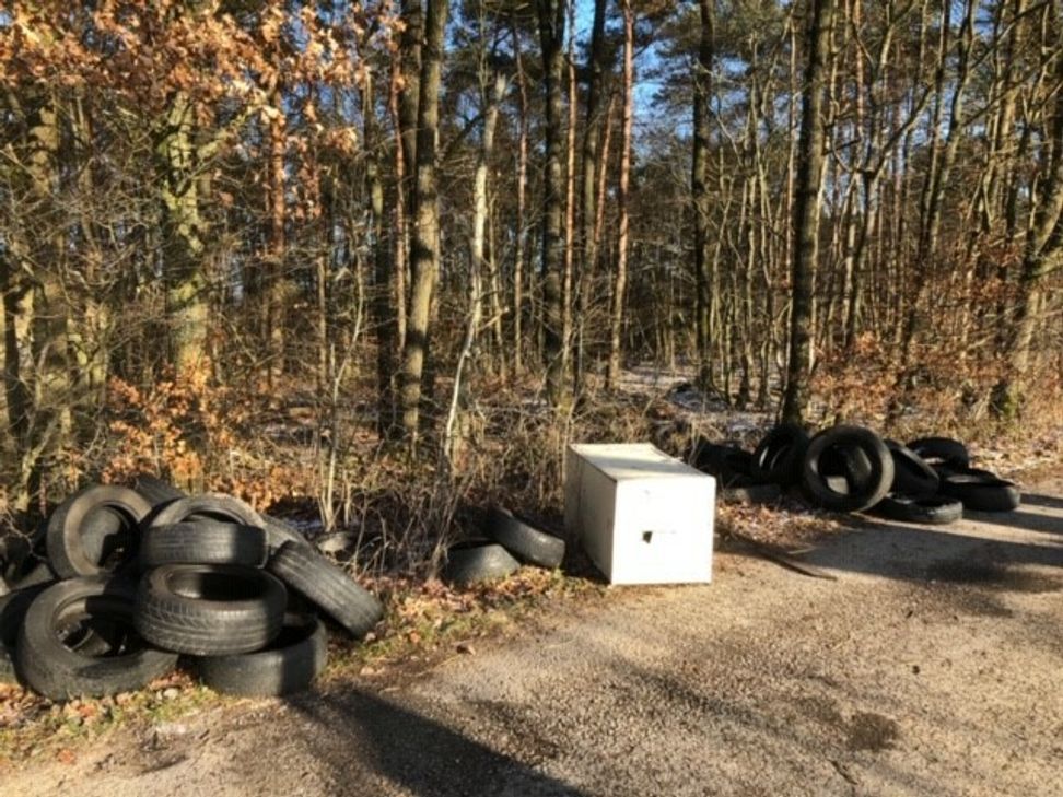 Unbekannte haben auf einem Waldweg bei Ohlenhard illegal Altreifen und eine Schrank entsorgt. Foto: Polzei