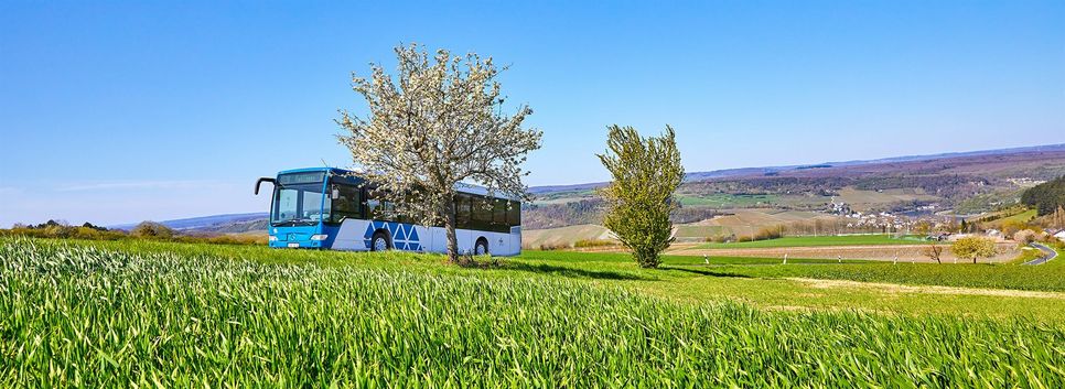 Busse und Bahnen beförderten Passagiere drei Monate lang für 9 Euro im Monat im Personennahverkehr. Damit ist vom 1. September an Schluss.