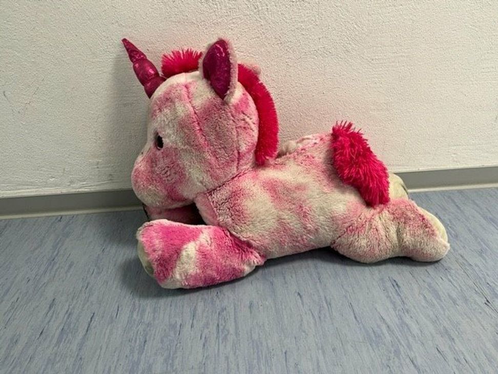 Das Einhorn wurde auf der A 48 bei Ochtendung gefunden.