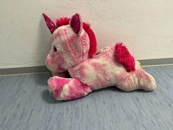 Das Einhorn wurde auf der A 48 bei Ochtendung gefunden.