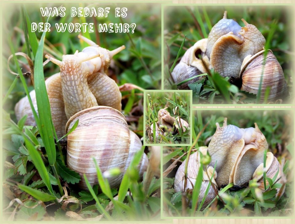 Zu zweit durch die Eifel