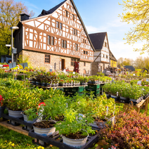 Freilichtmuseum Bad Sobernheim