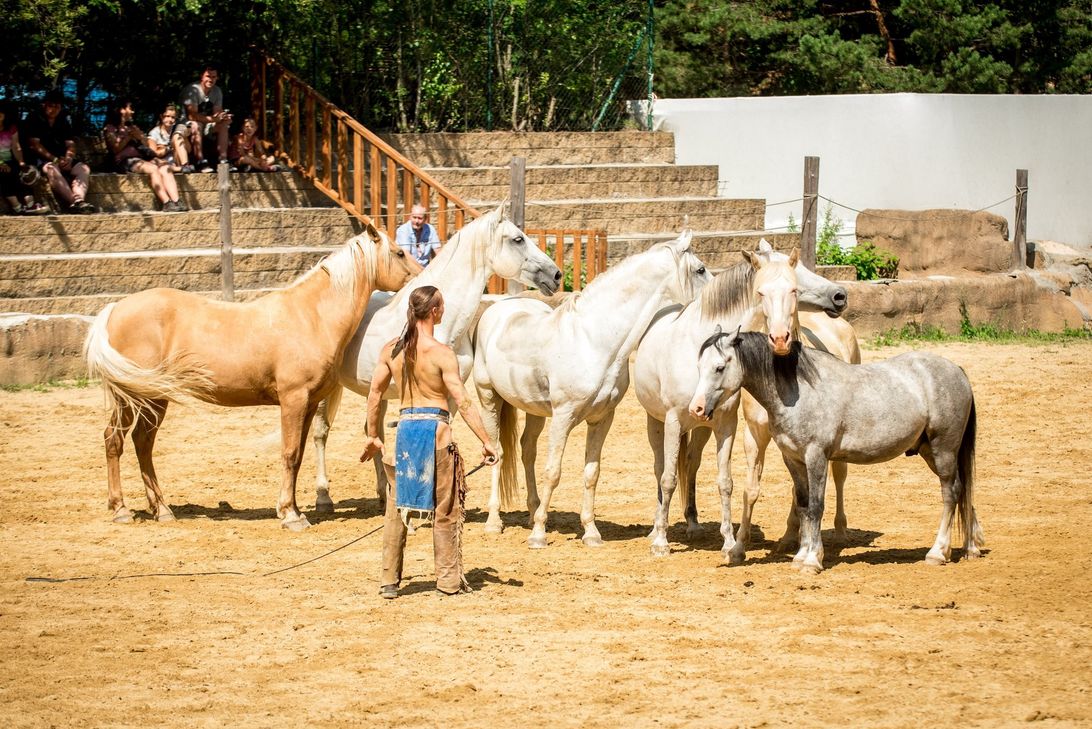 Freilichtbühne Mörschied präsentiert "Die Haraldos Stuntbrothers"