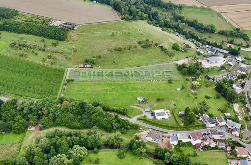 Hochwasserschutz und Naturgestaltung stehen in Bickendorf nicht im Gegensatz zueinander, sondern bilden eine grün-ästhetische Symbiose.