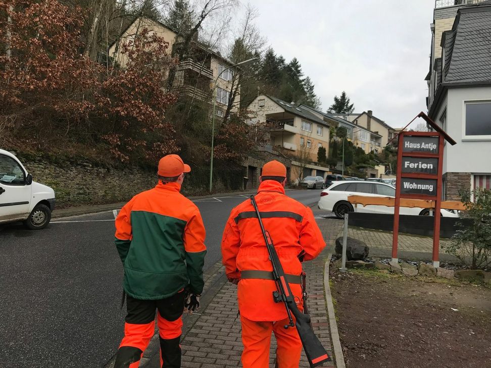 Bis ins Wohngebiet, wie hier in der Kelberger Straße in Cochem, dringen die Wildschweine vor. Jetzt wollen Stadt und Jäger gemeinsame das Problem bekämpfen.