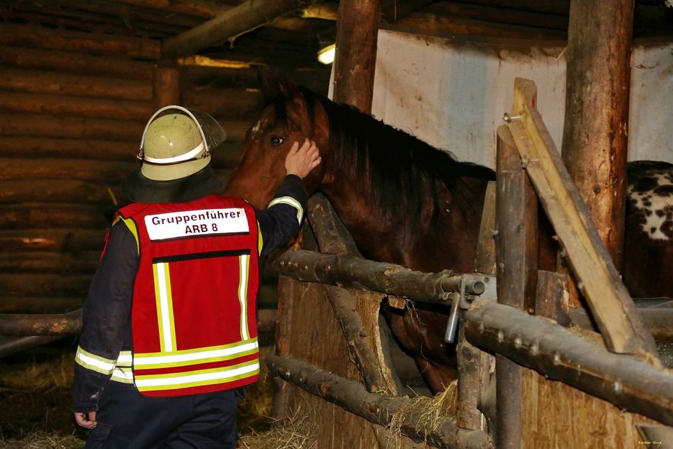 Großes Glück hatten die Pferde - Dank des besonnenen und zügigen Einsatzes der Feuerwehr. Foto: Sebastian Schmitt