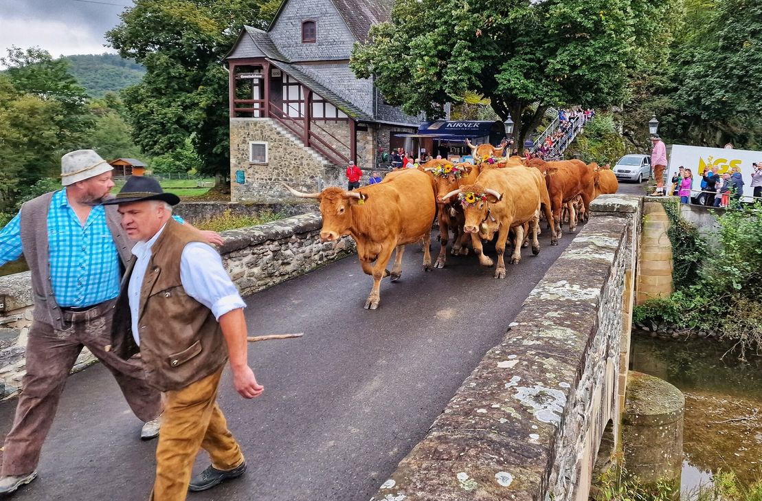 Almabtrieb in Hahnenbach.