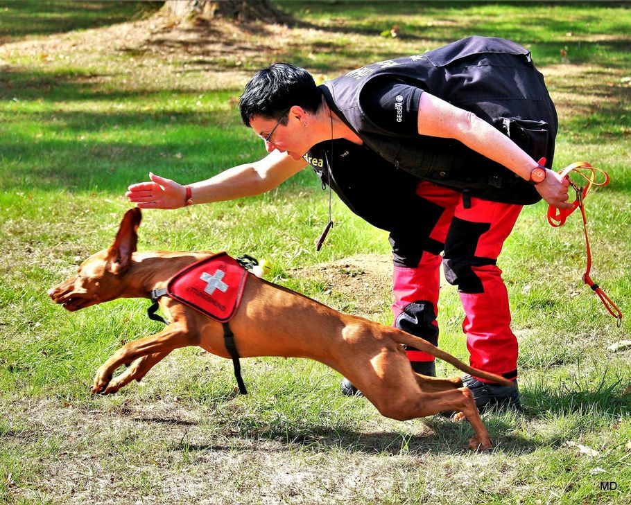 Seit September 2018 gehören Anuk und Andrea Klein  zur Rettungshundestaffel Eifel-Mosel. Für sie heißt es jetzt nicht nur im Training, sondern auch im Einsatz »Such und Hilf«.                        Foto: Martina Dany
