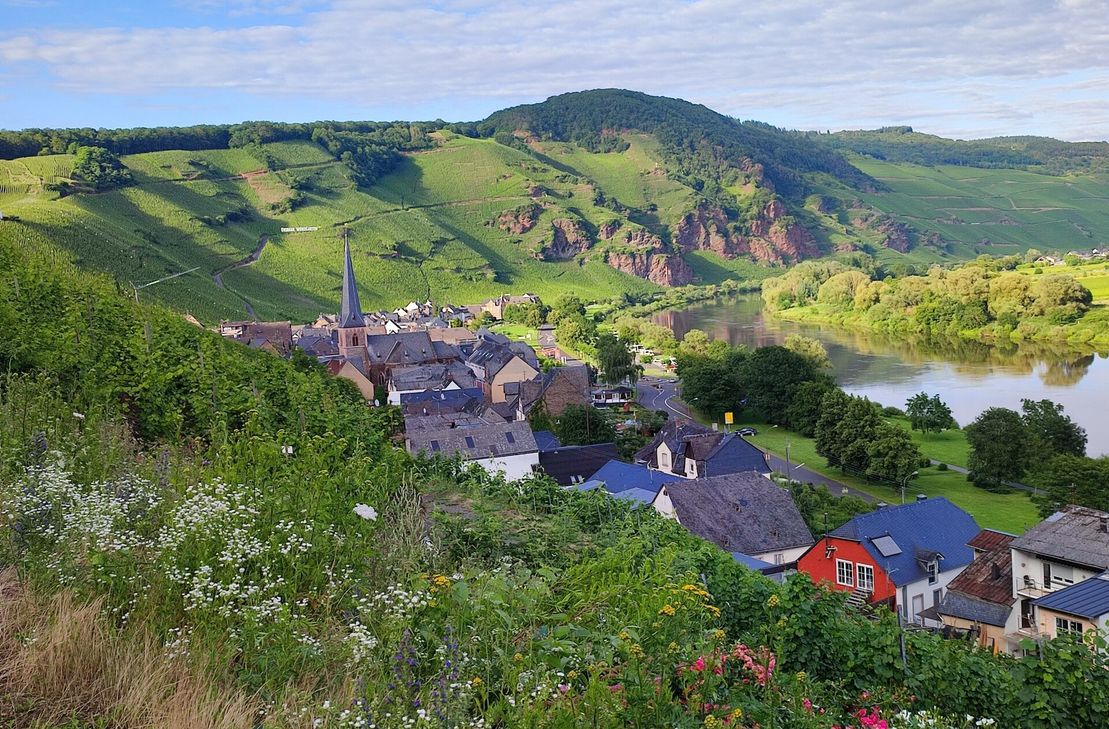 Offene Keller locken am Pfingst-Wochenende wieder in die Moselgemeinde Ürzig.