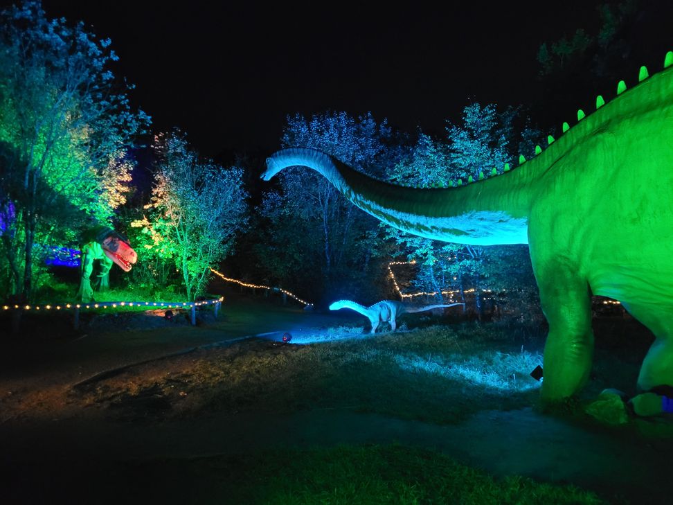 Beleuchtete Dinosaurier, Multimedia-Show mit Live-Musik und Einblicke in die Forschung: "Jurassic Lights" locken im Oktober an drei Abenden in den Dinosaurierpark Teufelsschlucht.