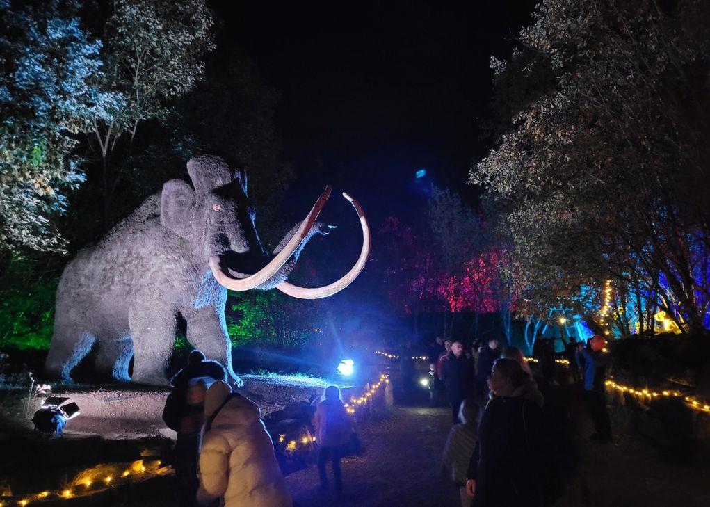 Beleuchtete Dinosaurier, Multimedia-Show mit Live-Musik und Einblicke in die Forschung: "Jurassic Lights" locken im Oktober an drei Abenden in den Dinosaurierpark Teufelsschlucht.