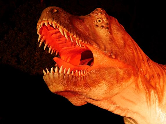 Beleuchtete Dinosaurier, Multimedia-Show mit Live-Musik und Einblicke in die Forschung: "Jurassic Lights" locken im Oktober an drei Abenden in den Dinosaurierpark Teufelsschlucht.