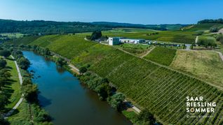 Blick auf das Weingut Van Volxem bei Wiltingen.