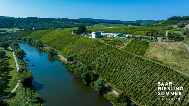 Blick auf das Weingut Van Volxem bei Wiltingen.