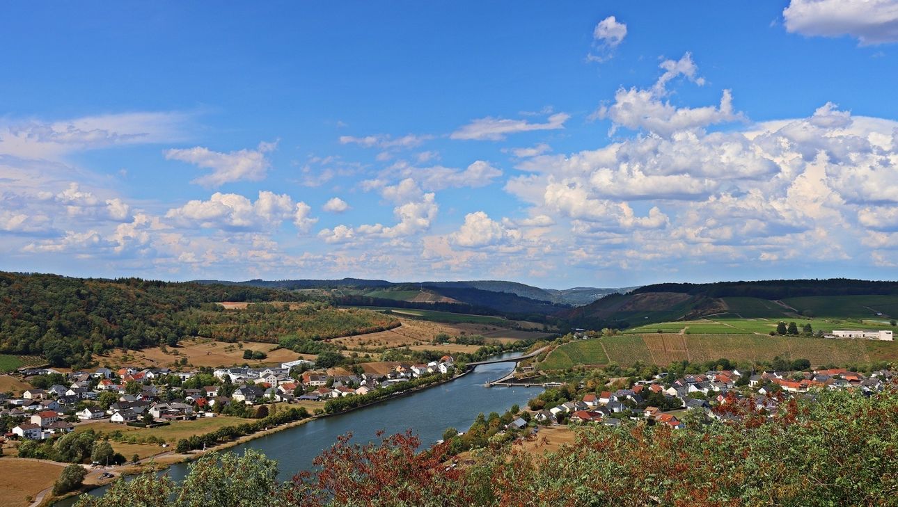 Der Saar-Riesling-Steig bietet eine Vielfalt an Landschafts- und Naturerlebnissen.