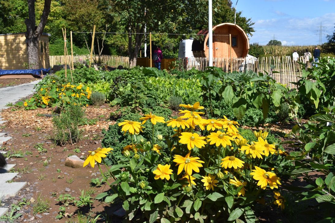 Die Fläche befindet sich auf dem ehemaligen Mitarbeiterparkplatz des Krankenhauses Ehrang.