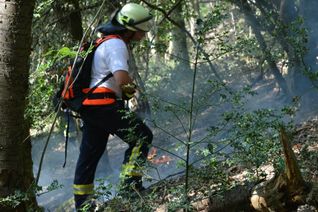 Immer wieder musste die Feuerwehr zu Bränden im Waldgebiet zwischen Hausen und Blens ausrücken. Foto: Feuerwehr Heimbach