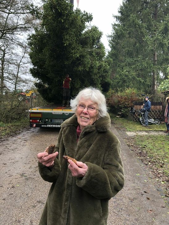 Einige Zapfen behielt die rüstige 92-Jährige als Erinnerung an die Fichte zurück, die sie vor 60 Jahren zur Geburt der Tochter gepflanzt hatte.