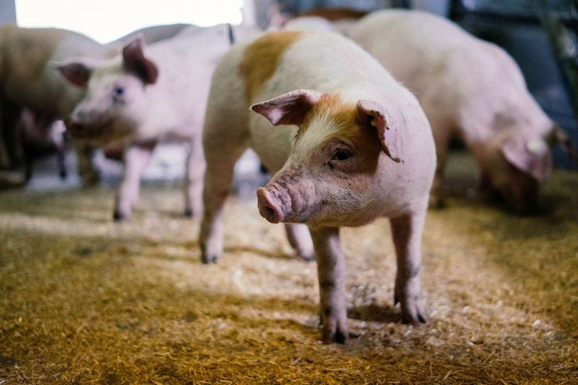 Bildrechte: Eifel Tourismus – Lars May