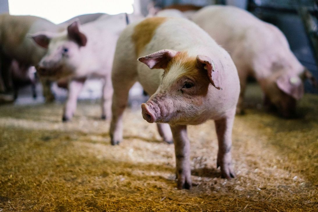 Bildrechte: Eifel Tourismus – Lars May