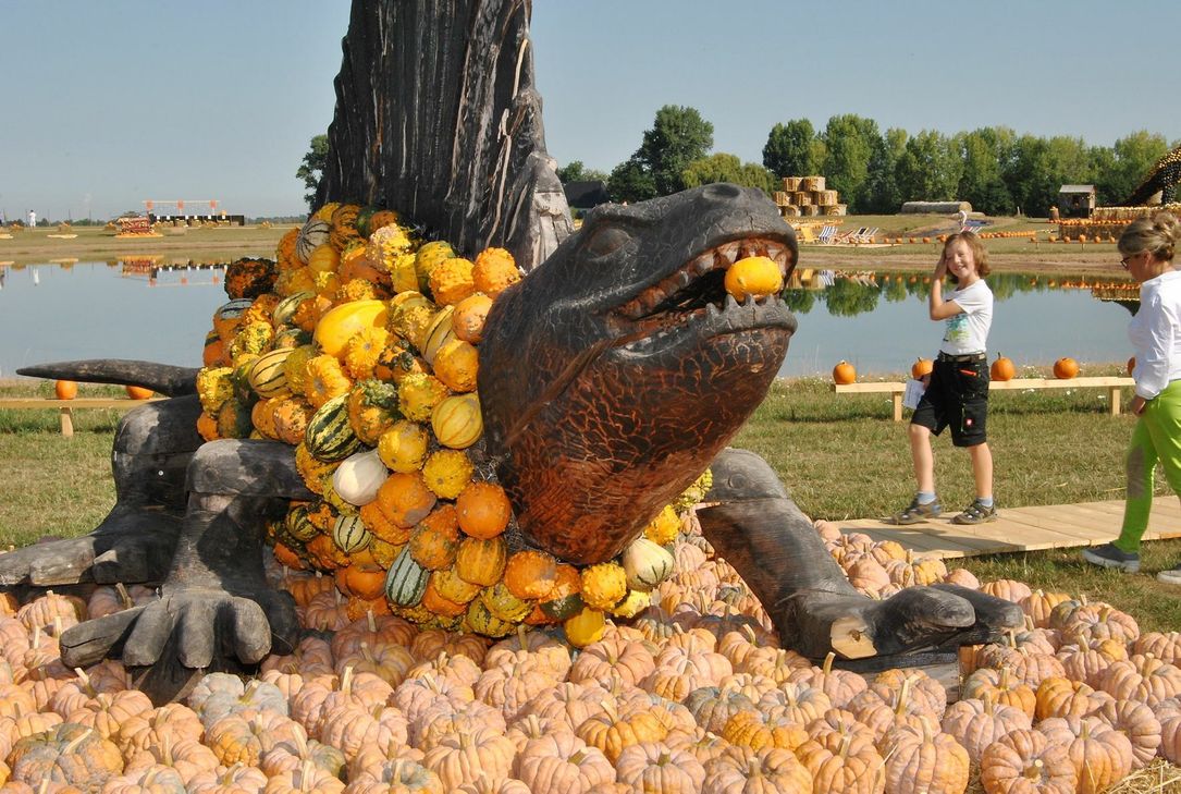 Fotos: Renate Hotse/pp/Agentur ProfiPress