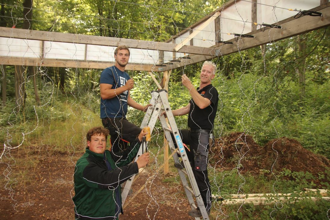 Peter Higgins (r.) und sein Team befestigen die Kabel für die »Electroshock Therapy« bei Tough Mudder. Das Hindernis erwartet die Läufer mitten im Wald bei Wachendorf. Foto: Tim Nolden